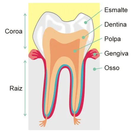 tratamento-de-canal-endodontia-madureira-rio-de-janeiro-cs-costa-lima-dentista-michelle